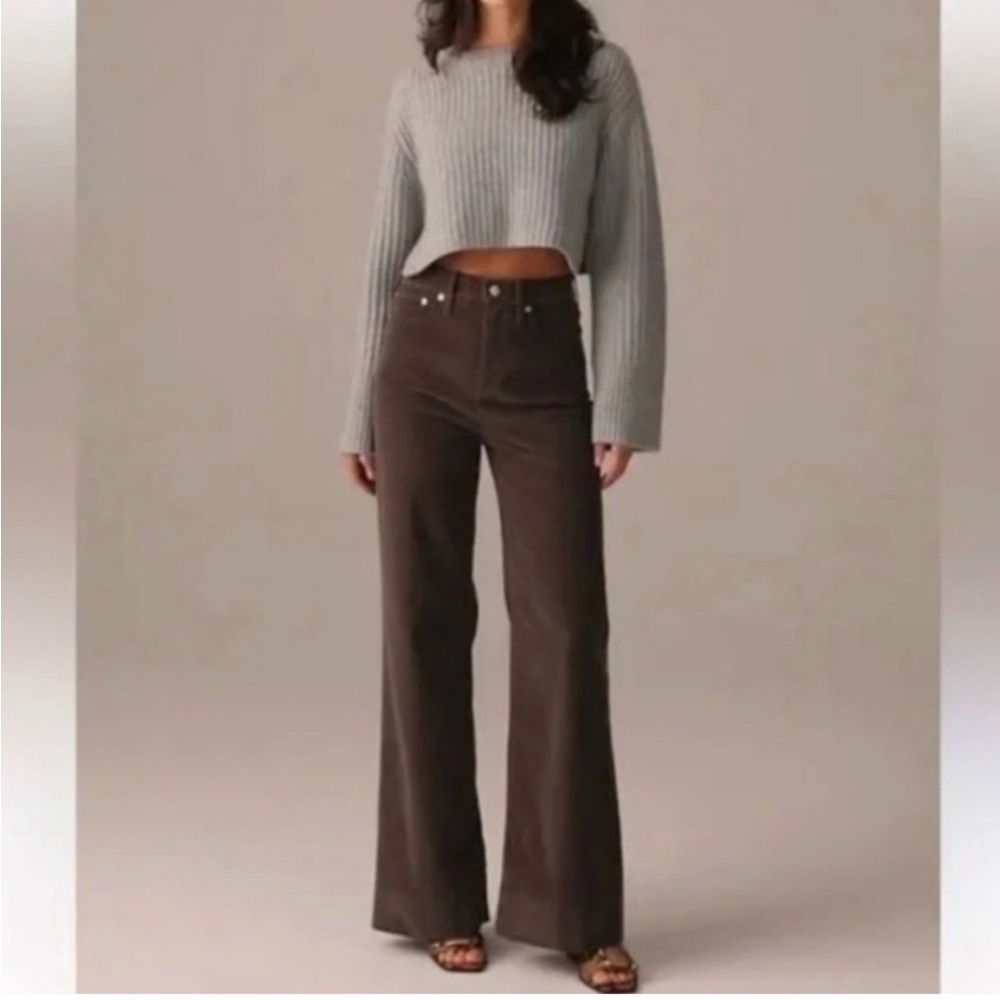 NWT J Crew 96 Trouser